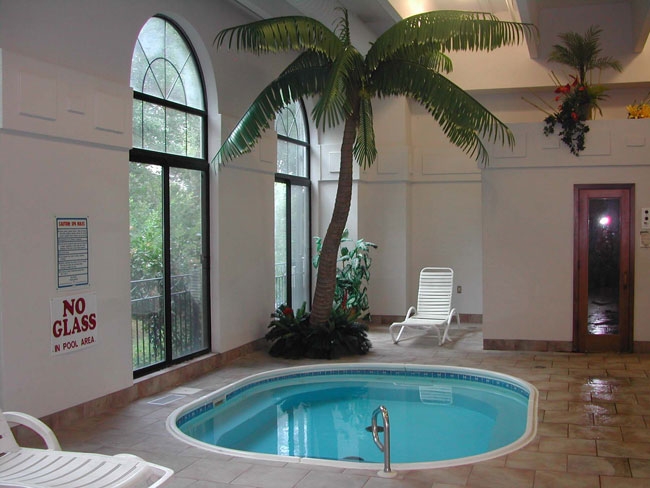 pool area with palms